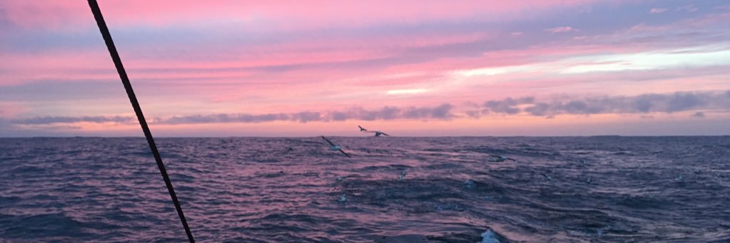 ryanp171171's profile banner image