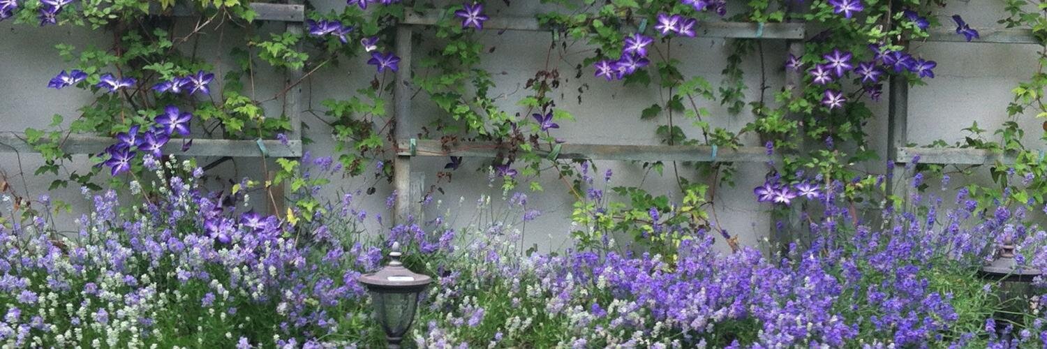 PJ Puppermum 🇨🇦 banner