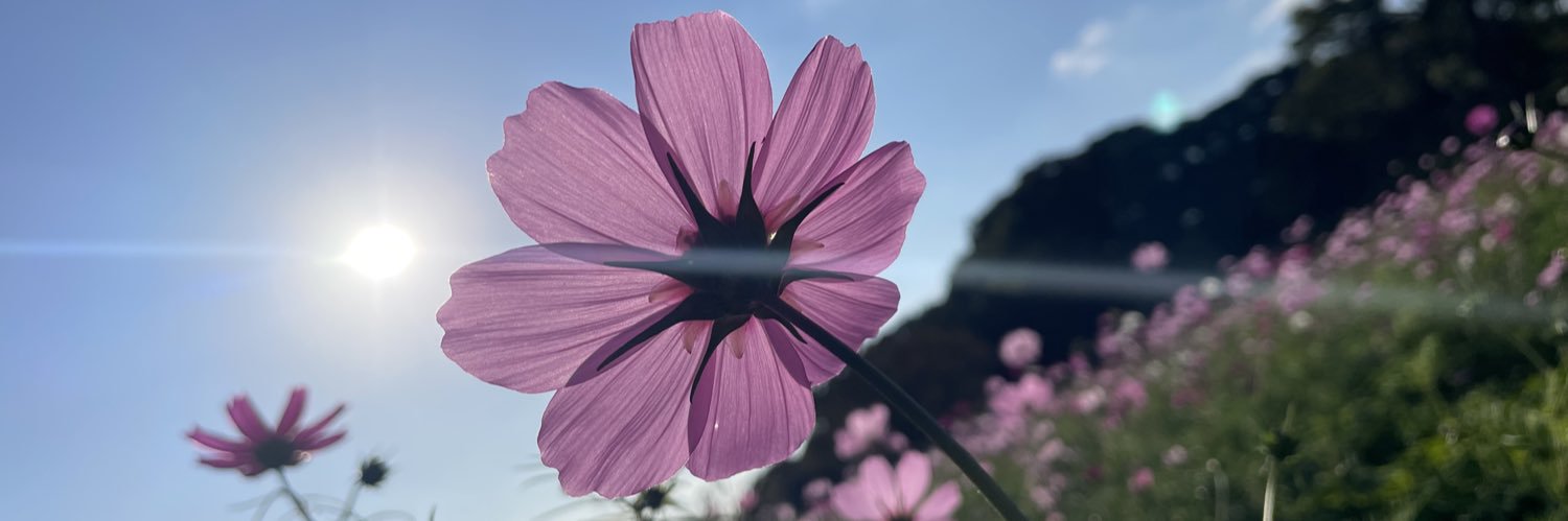 clover_s3's profile banner image