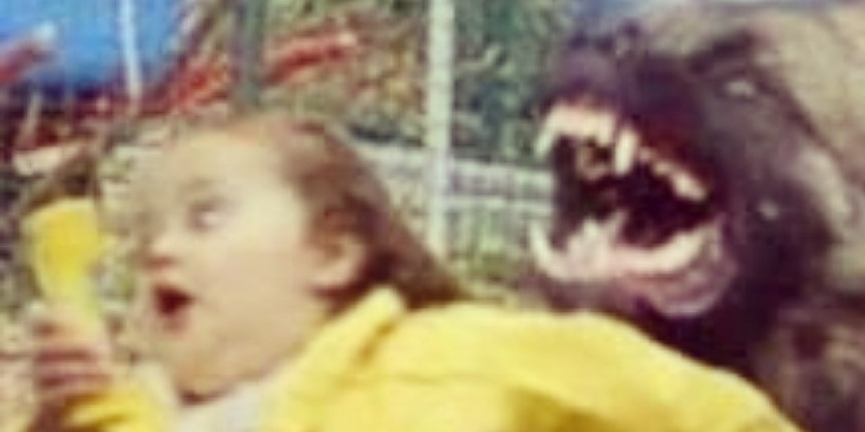 trevorcripe's profile banner image