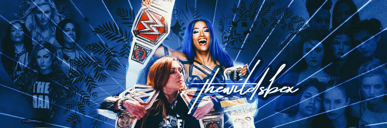 thewildsbex's profile banner image