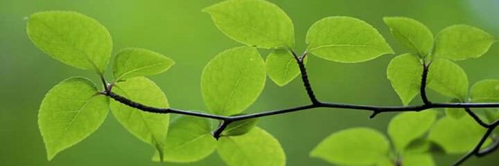 AleGalu24's profile banner image
