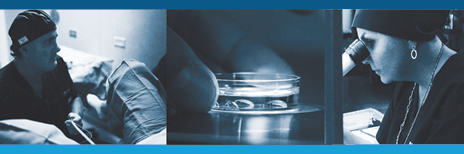 aParentIVF's profile banner image