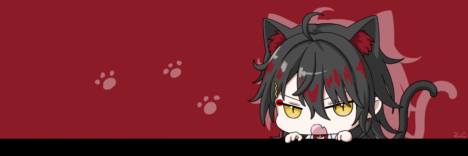 RinCo banner