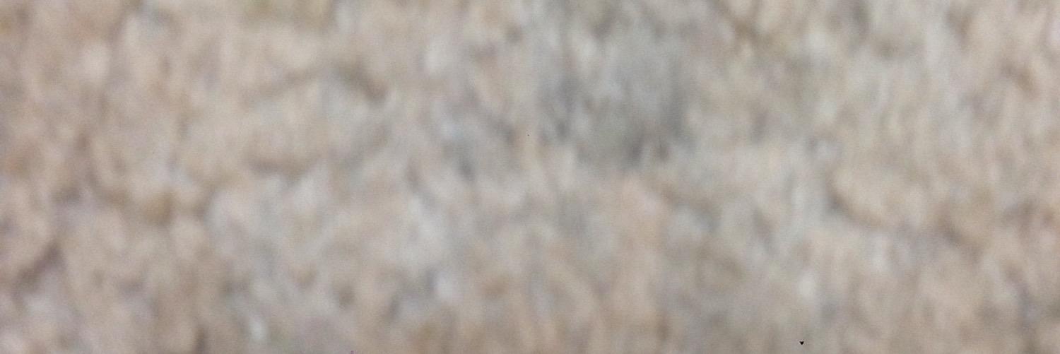 ssseea_b's profile banner image