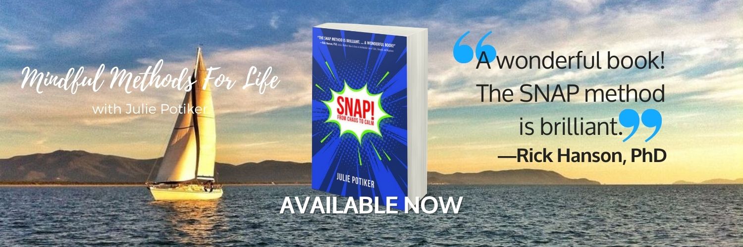 Julie Potiker banner