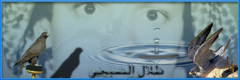 abunoora2011's profile banner image
