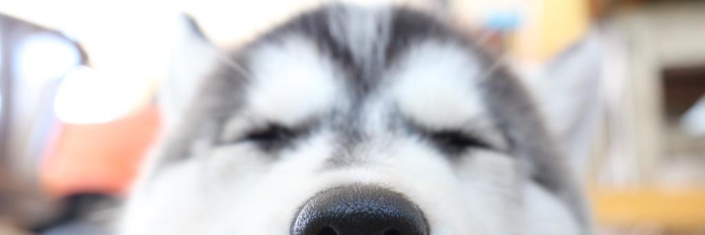 sunieye's profile banner image