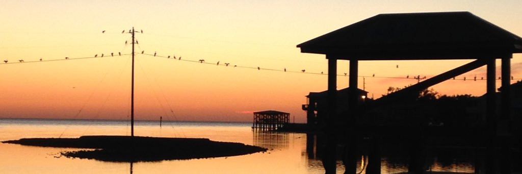Ty_Gorton's profile banner image
