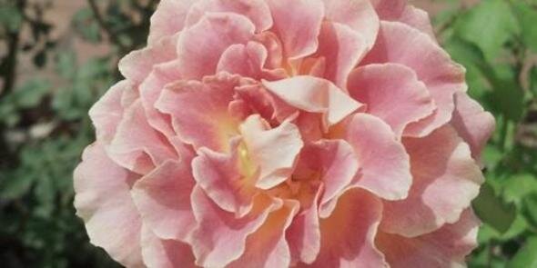 kateywatcher's profile banner image