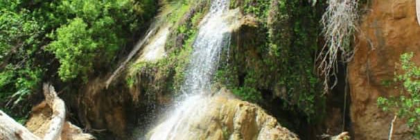 samatar_adam's profile banner image