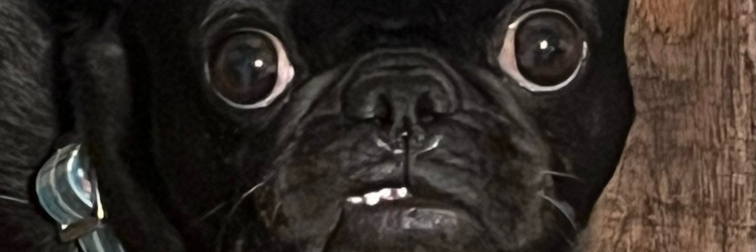 Juddley's profile banner image