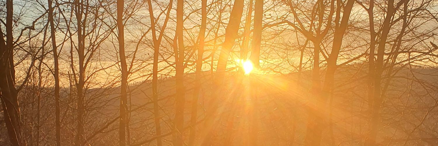 scheidtweilerpr's profile banner image