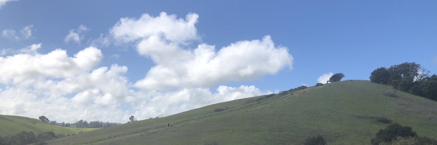 ashlea powell sommer banner