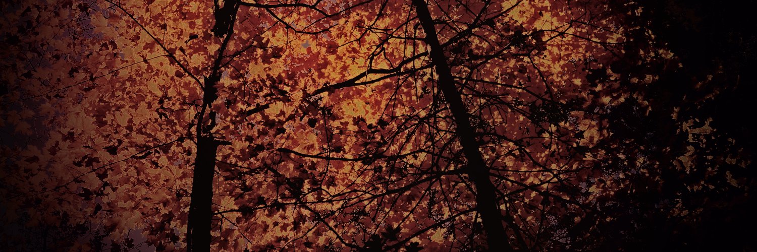 fluencygrey's profile banner image