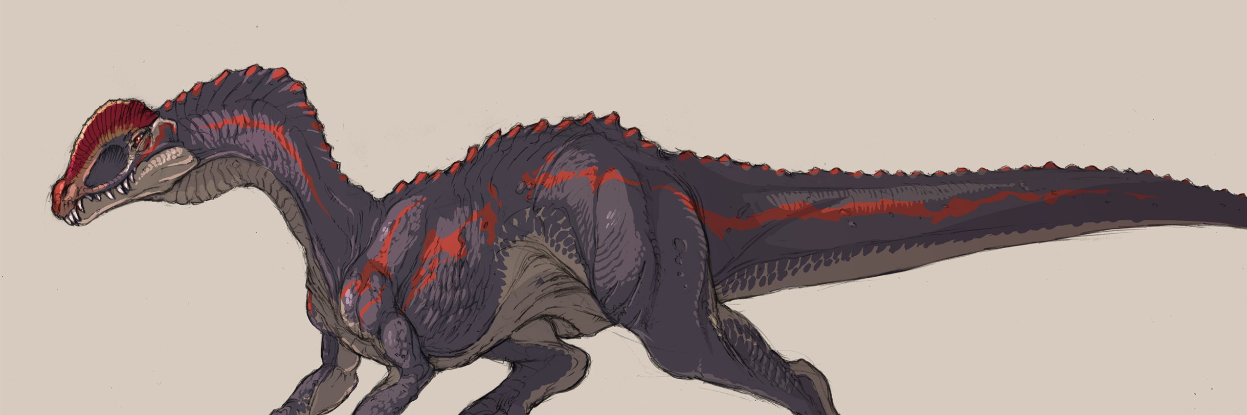 toraumao's profile banner image