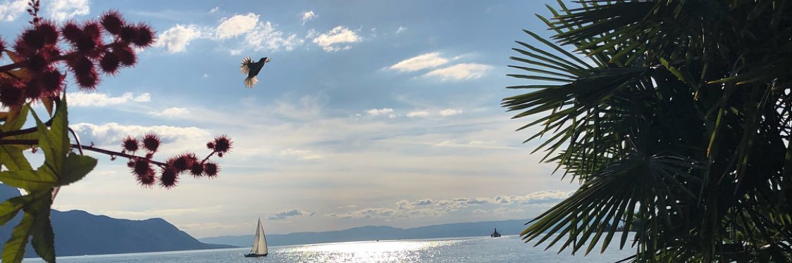 halwaalan's profile banner image