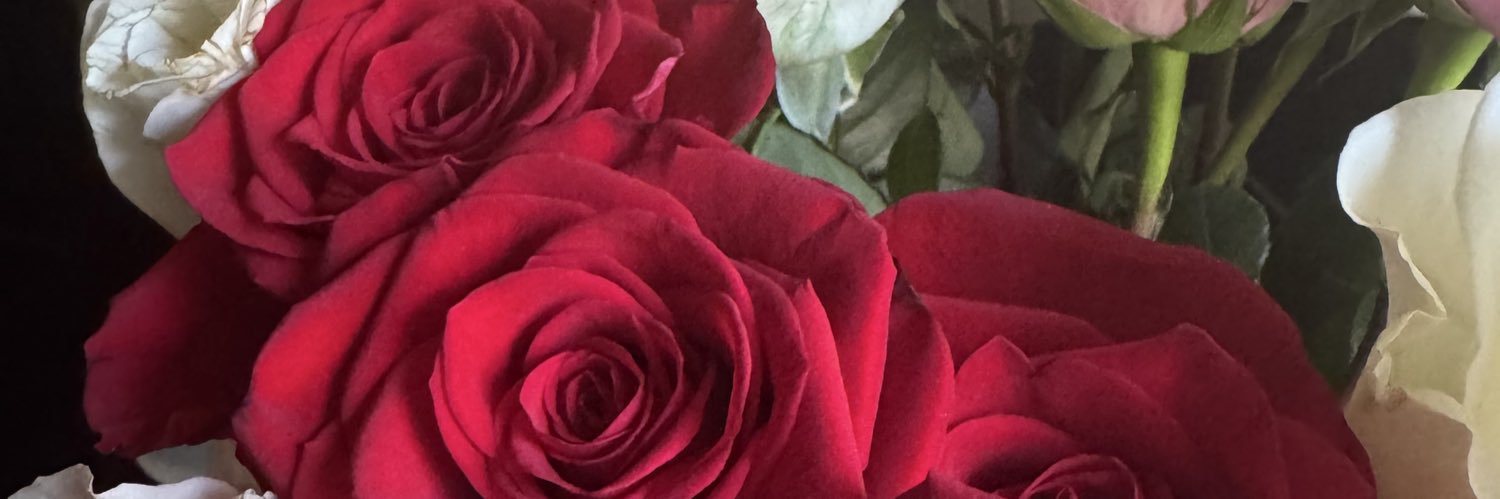didibisssh's profile banner image