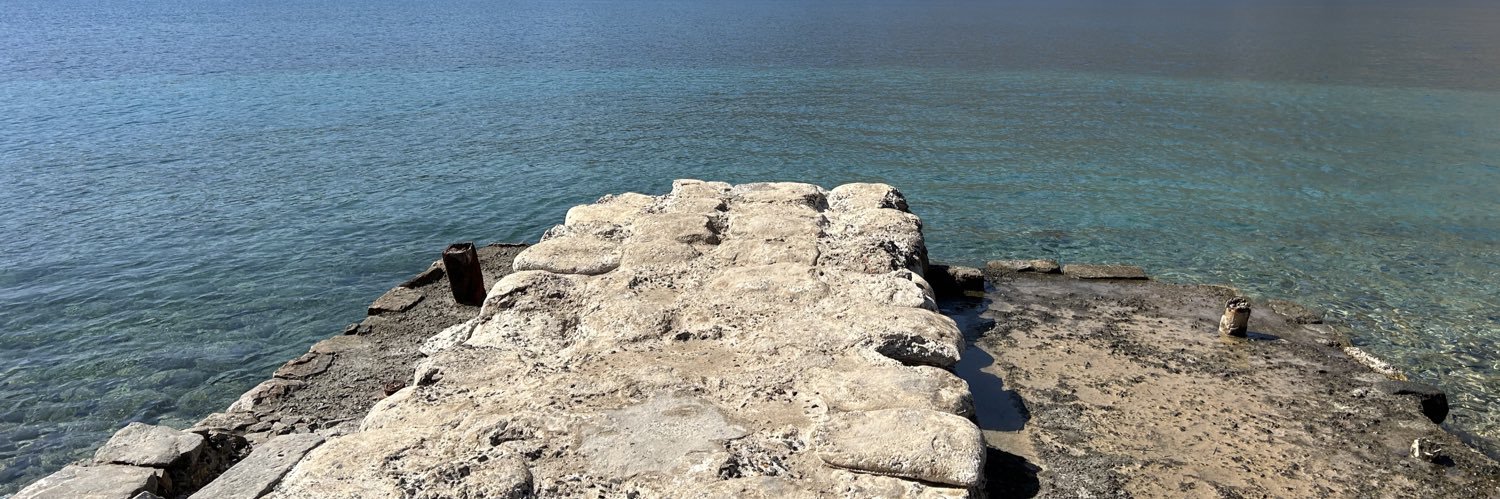 Vincent Combeuil ن banner