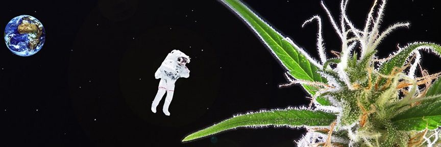ITzGarcy's profile banner image