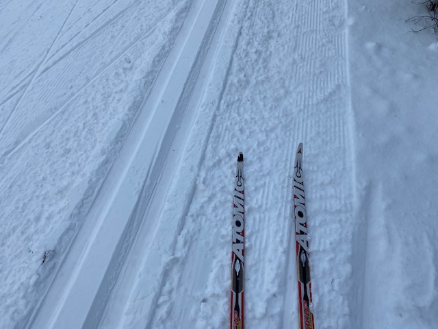 Simon-Pierre Landry banner