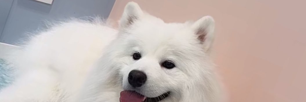 hxexy_'s profile banner image
