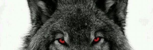 wancuba's profile banner image