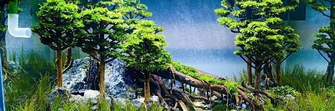 gilangdani's profile banner image
