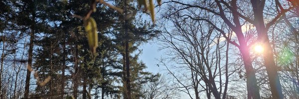 insada Profile Banner