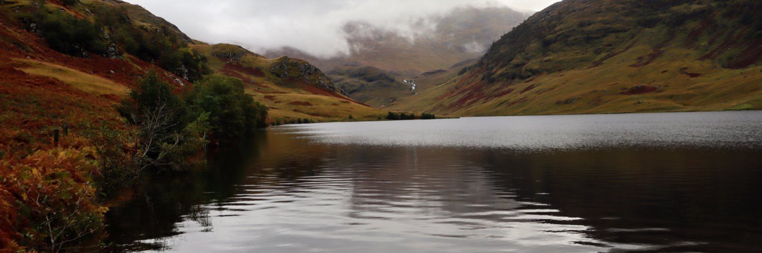 Chris Brickell banner