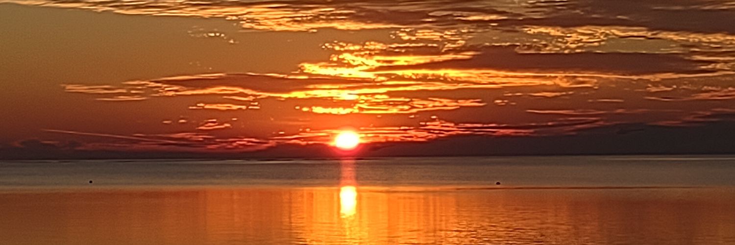 Daniel Snoddy banner