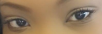 Abigail Hamilton banner