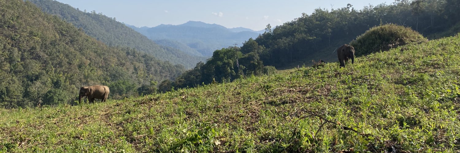 Lisa Fleming Chart.PR banner