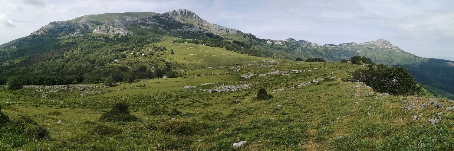 epujana's profile banner image