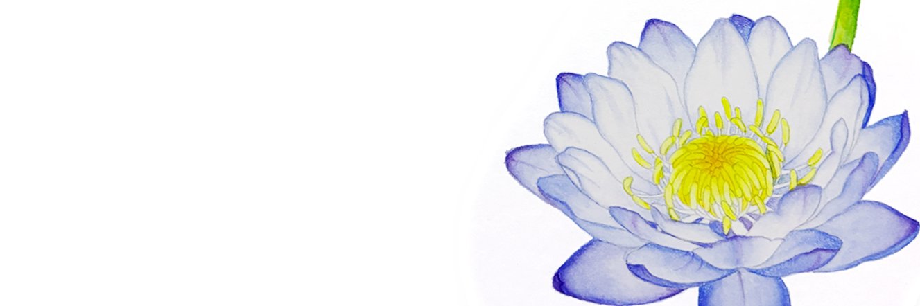 Bess_Wu's profile banner image