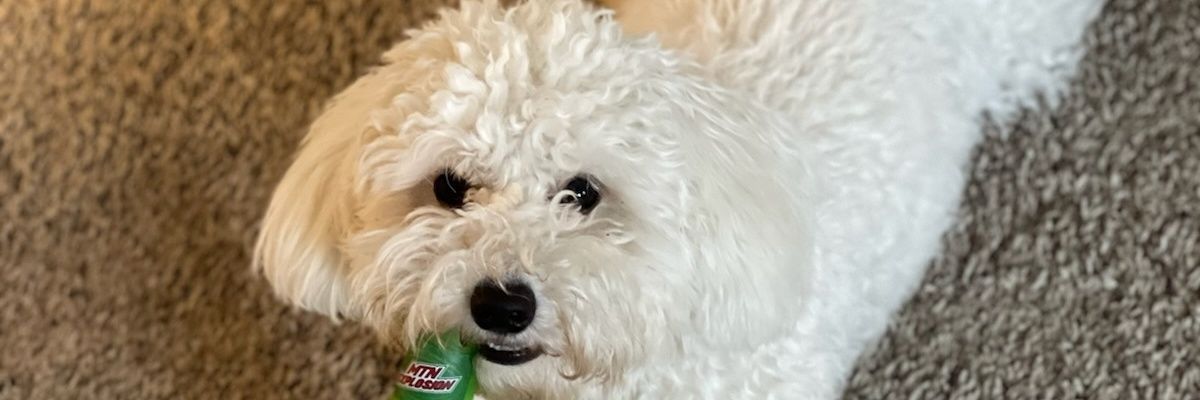 SagnastySteve's profile banner image