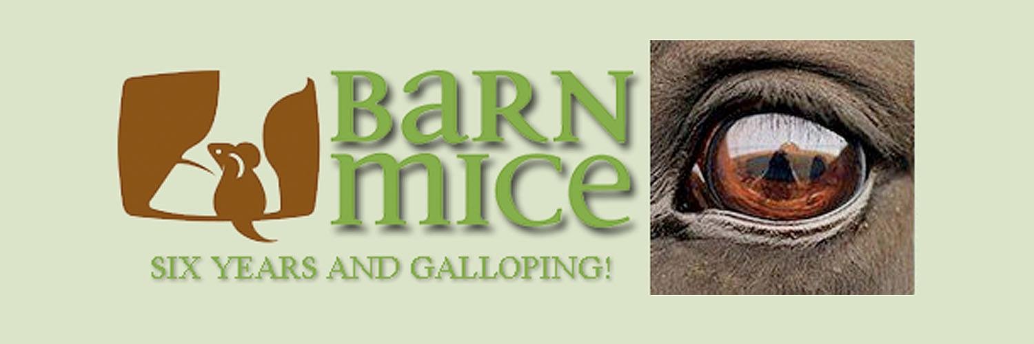 Barnmice's profile banner image