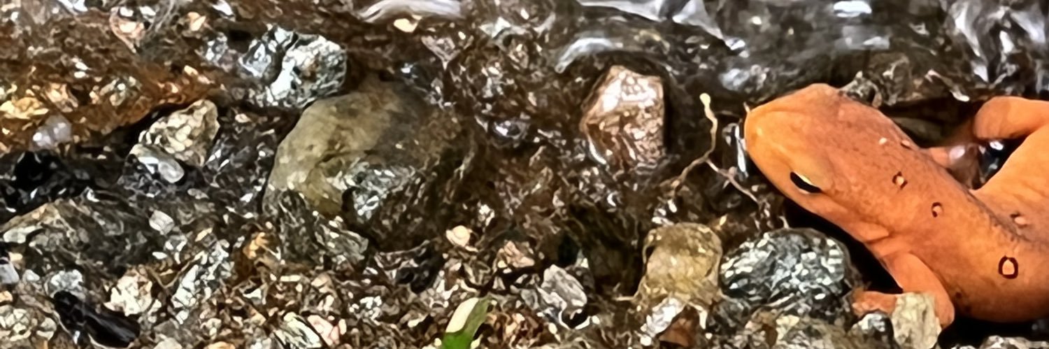 hagendays's profile banner image