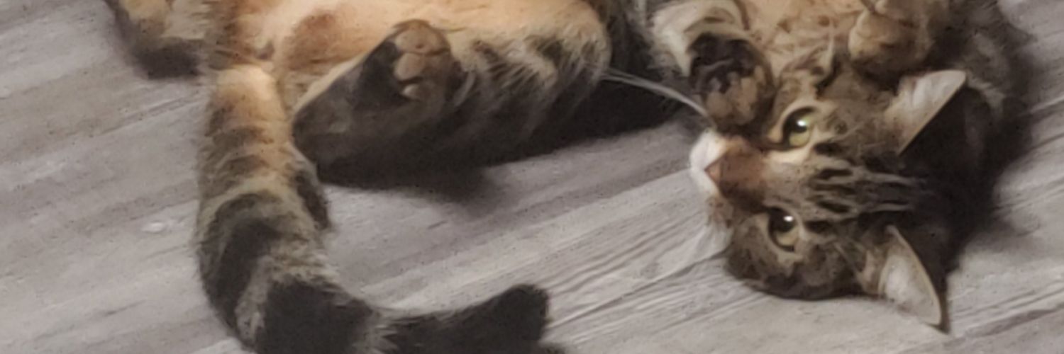 tinystoner23's profile banner image
