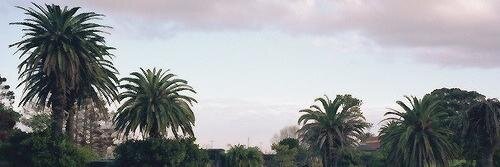selenalalgdr's profile banner image