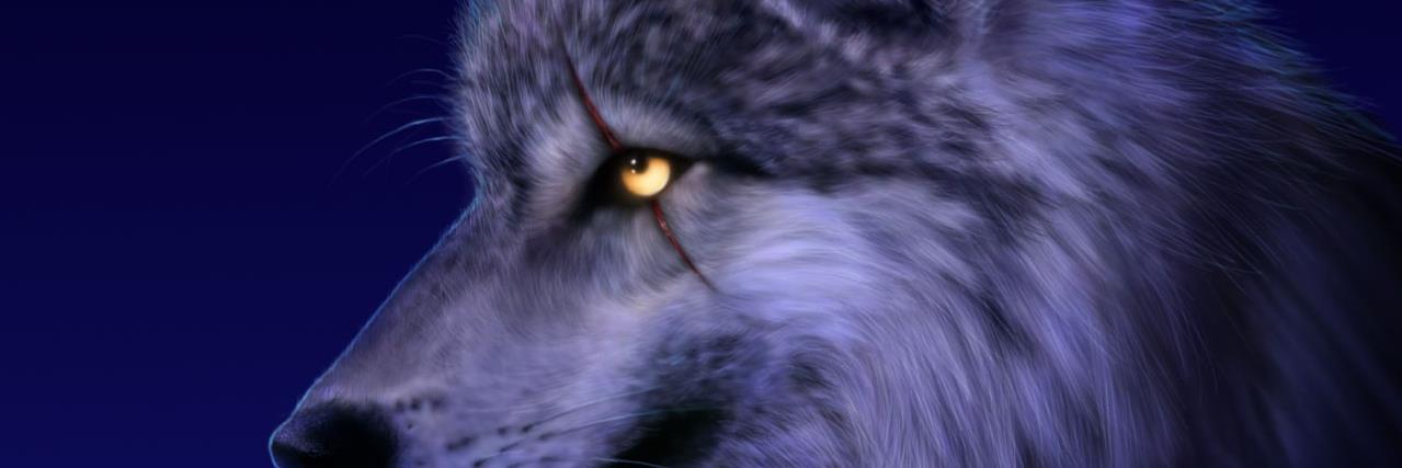 silverwolf357's profile banner image