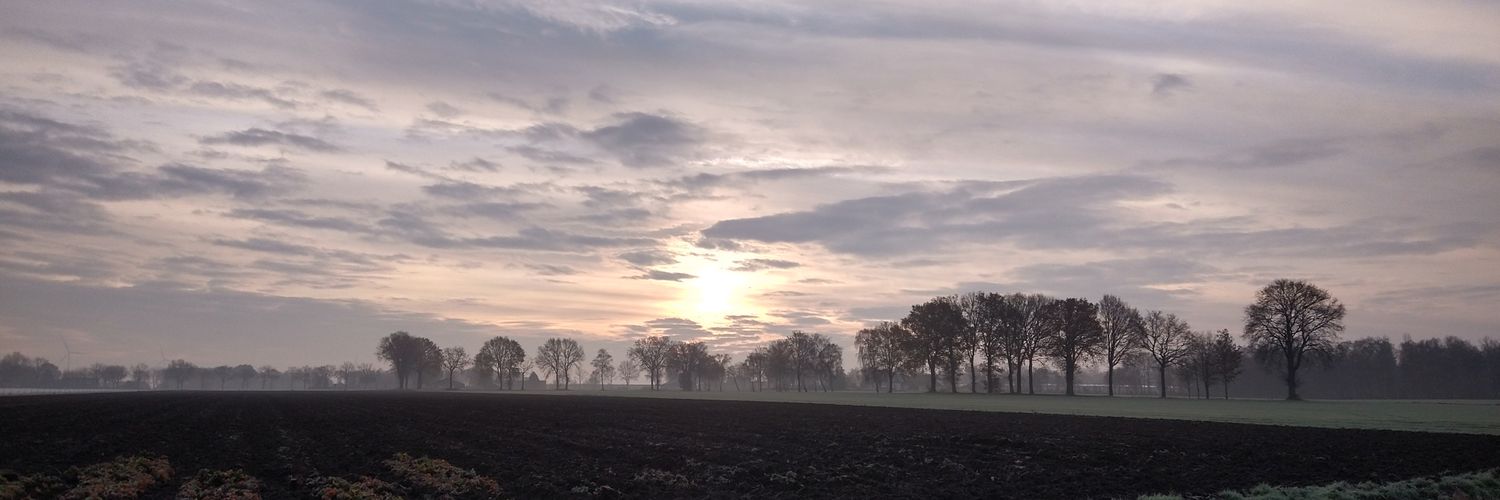 theodorabreda's profile banner image