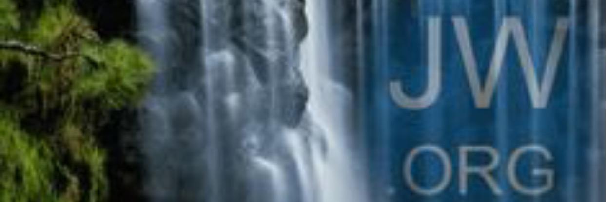 pottsvic_potts's profile banner image