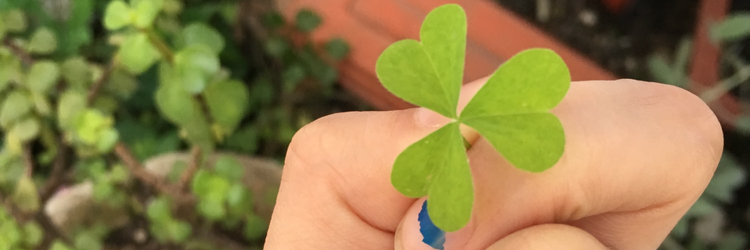 ilkaDluna's profile banner image