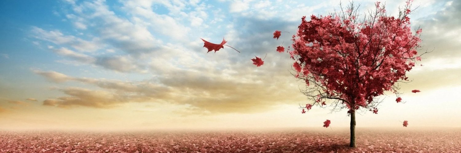 Reba Adams banner