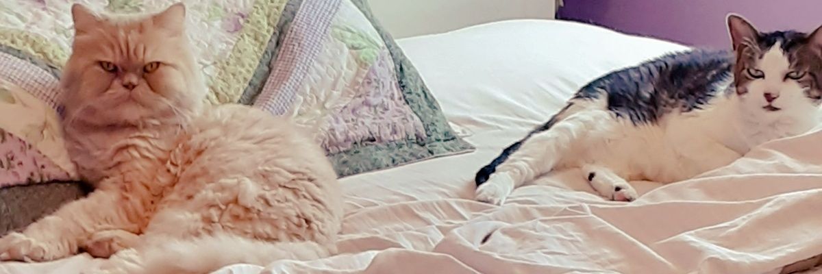 Tee 🇺🇸 ❤ banner