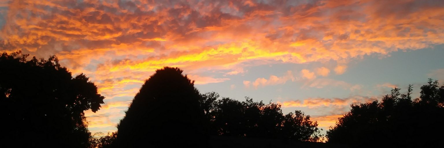 vonniehere's profile banner image