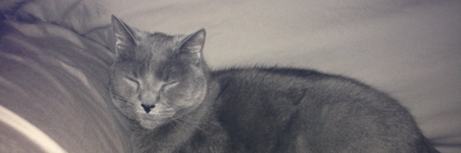 Kelly Sansiveri banner