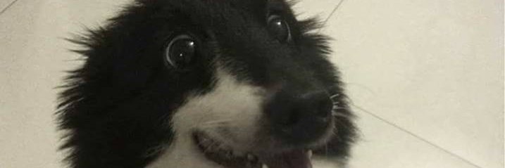 d4m0's profile banner image