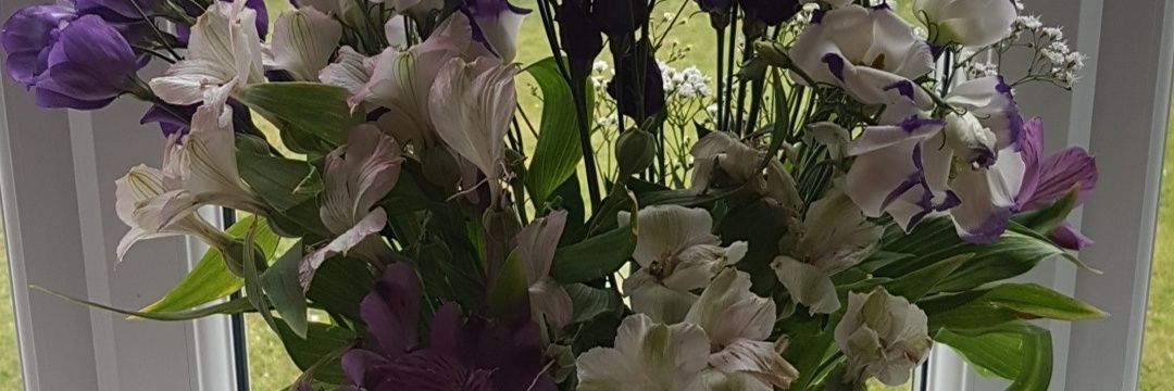 deborah197316's profile banner image